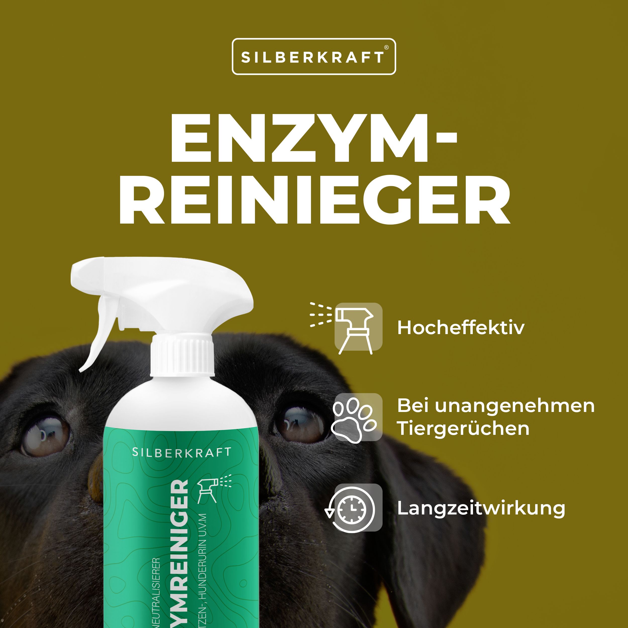 Silberkraft Enzymreiniger Hund & Katze 12x500 ml Spray