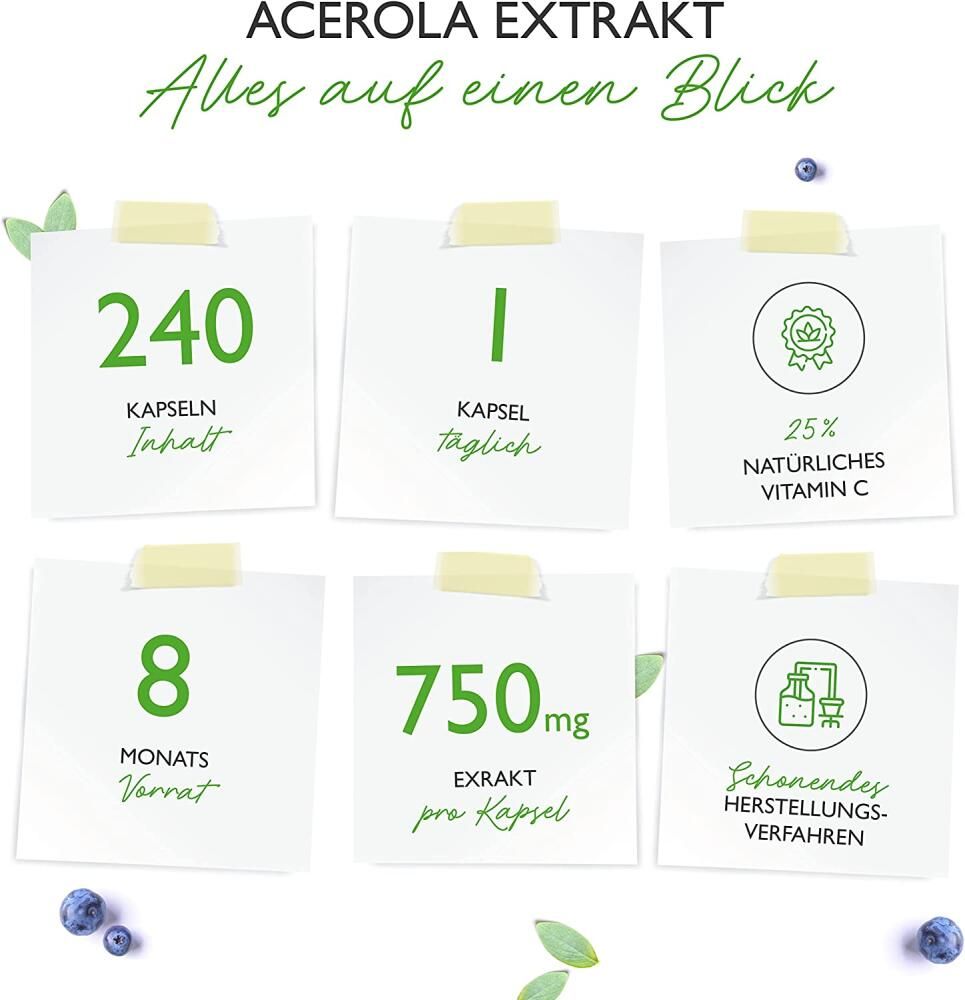 vit4ever Acerola Extrakt
