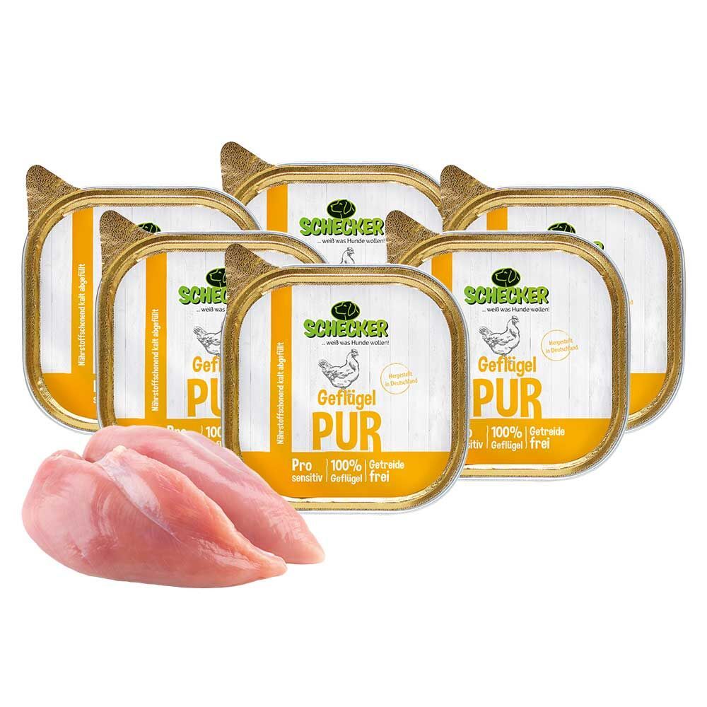 Mehrere Schälchen Schecker DOGREFORM Fleischtopf PUR Geflügel, getreidefrei, mit Hähnchenbrustfilet. Aufschrift: Geflügel PUR, 100% Geflügel frei.