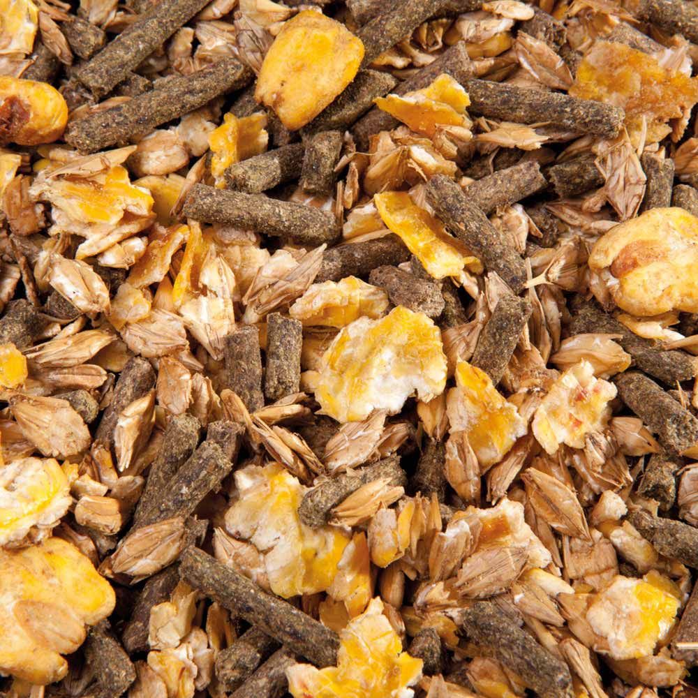 Nahaufnahme von EGGERSMANN EMH Cool Müsli. Mischung aus verschiedenen Zutaten: Flocken, Pellets und Körner in verschiedenen Farben und Texturen.