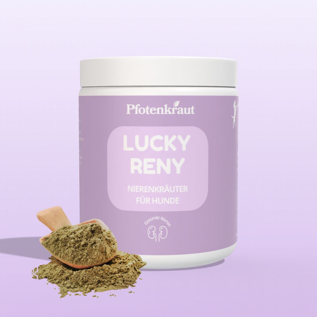 Pfotenkraut Nieren Kräuter  LUCKY RENY