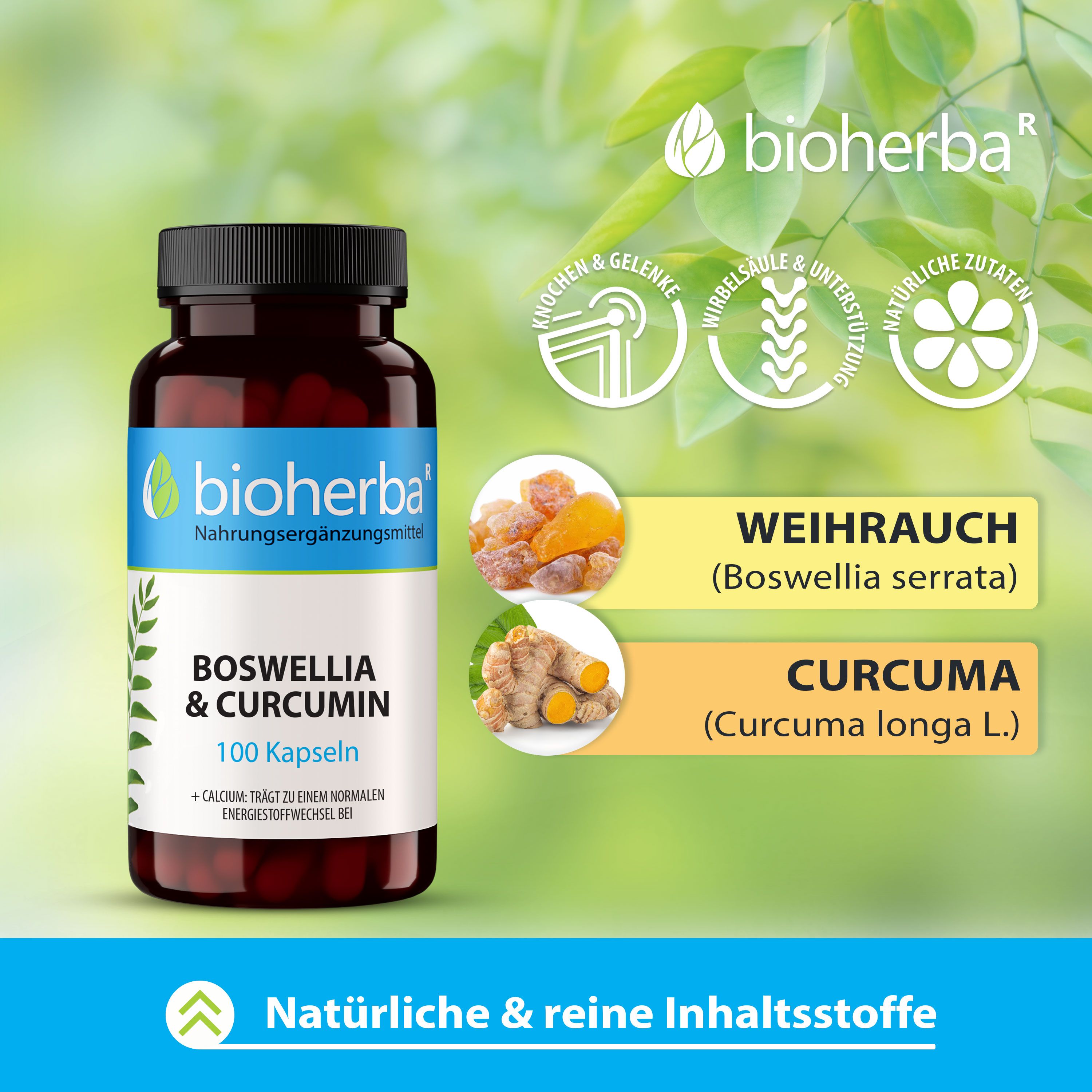 Bioherba Boswellia & Curcumin Kapseln