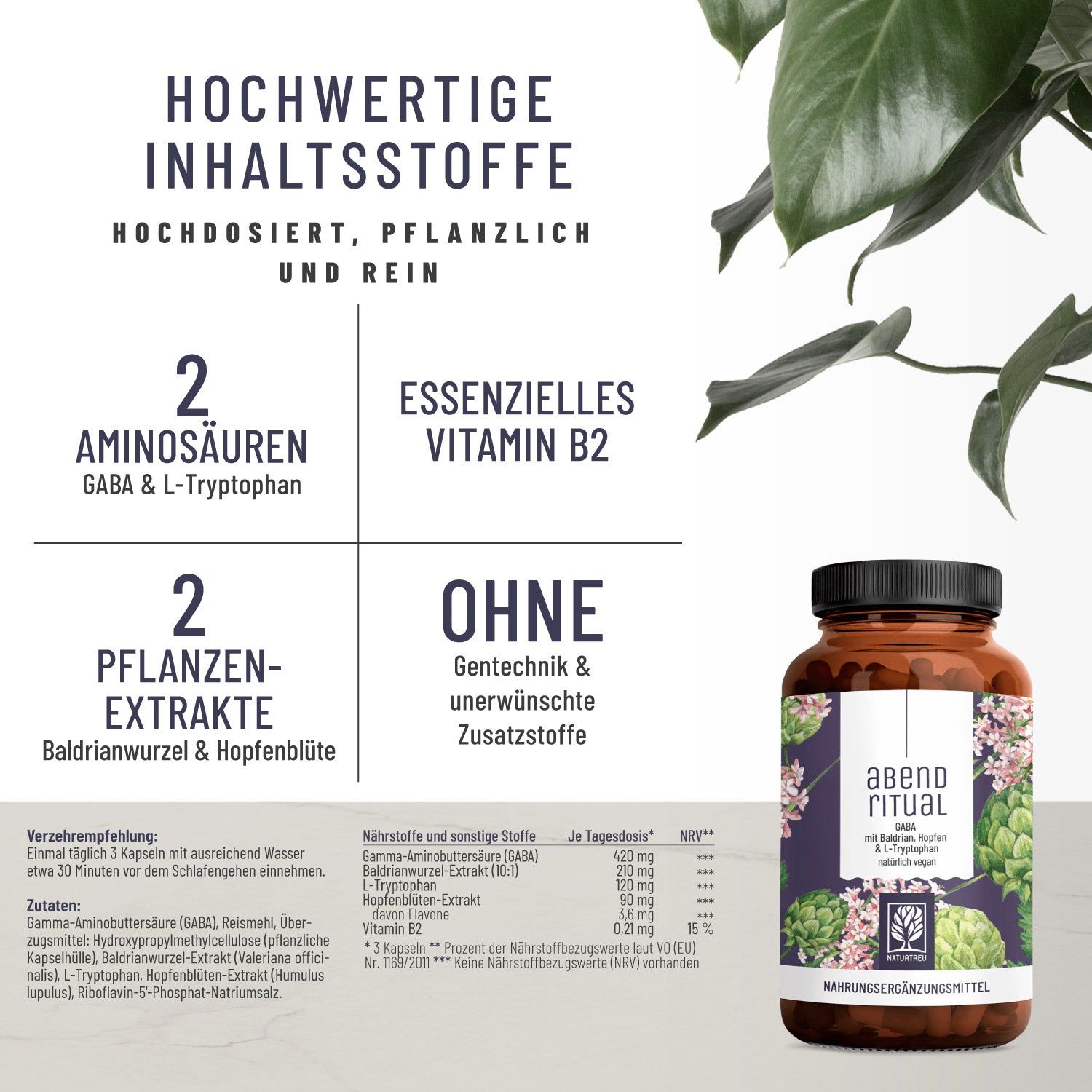 Produktflasche mit Text neben Infografiken. Text: 2 Aminosäuren, 2 Pflanzenextrakte, Essentielles Vitamin B2, Ohne Gentechnik. Flasche: Abendritual.