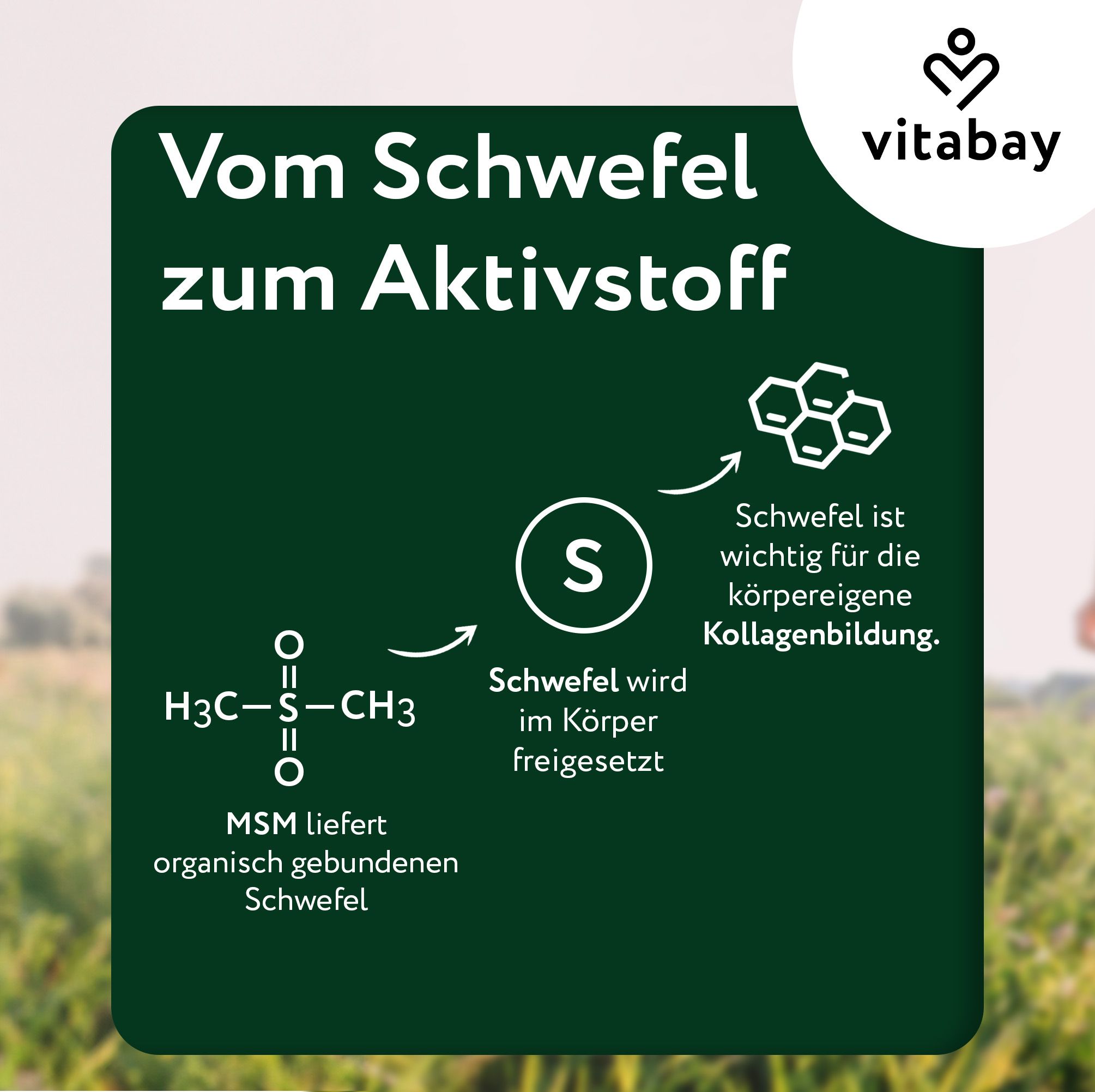 Grafik mit chemischer Formel von Schwefel. Text: Vom Schwefel zum Aktivstoff. Vitabay Logo.