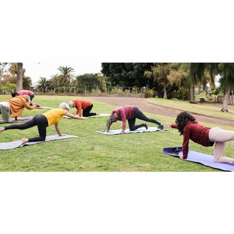 Gruppe von Menschen, die Yoga im Freien auf Matten praktizieren. Verschiedene Posen, grüne Wiese, Bäume im Hintergrund.