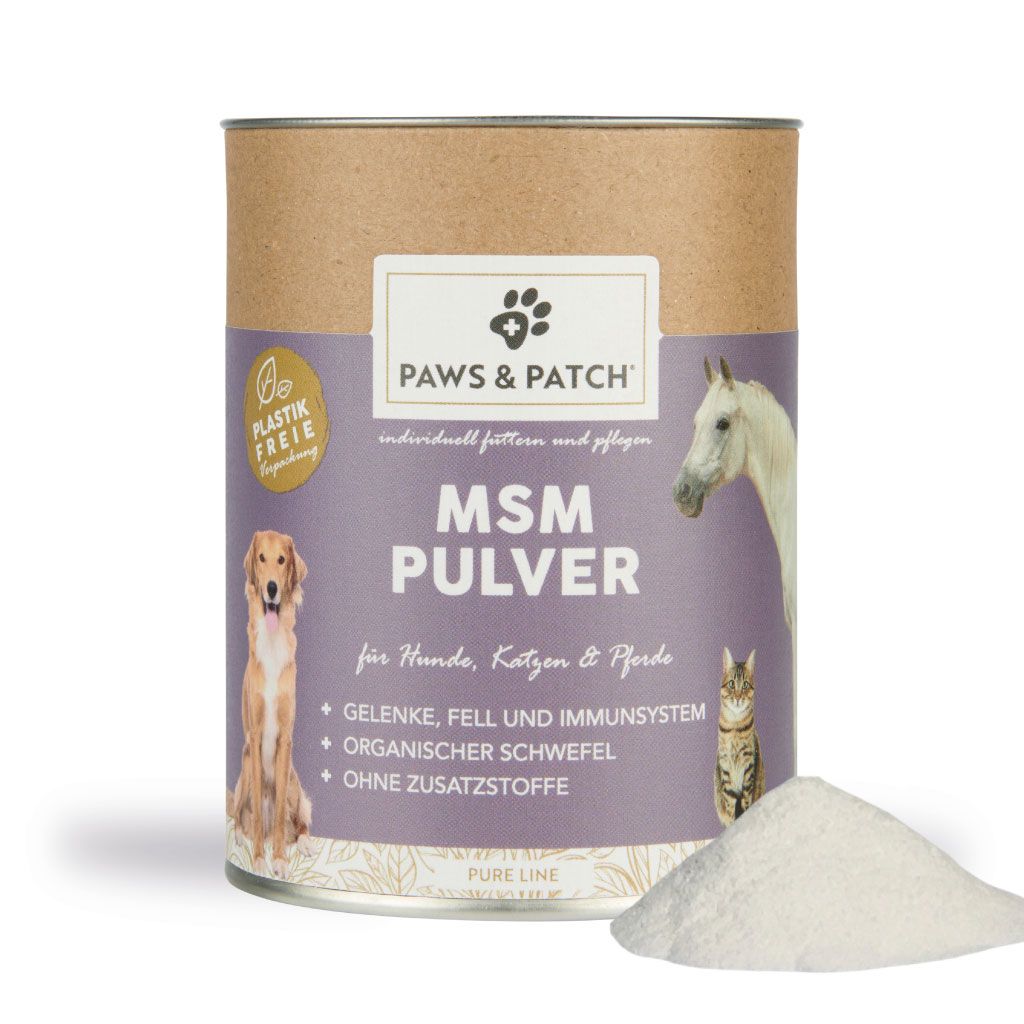 PAWS&PATCH MSM Pulver für Hunde, Katzen und Pferde