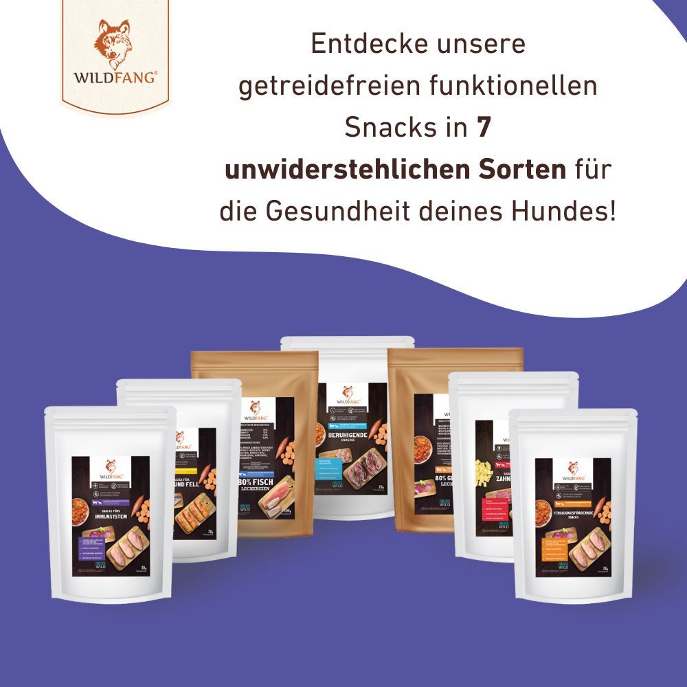 Snacks für das Immunsystem - getreidefrei - 3er Set