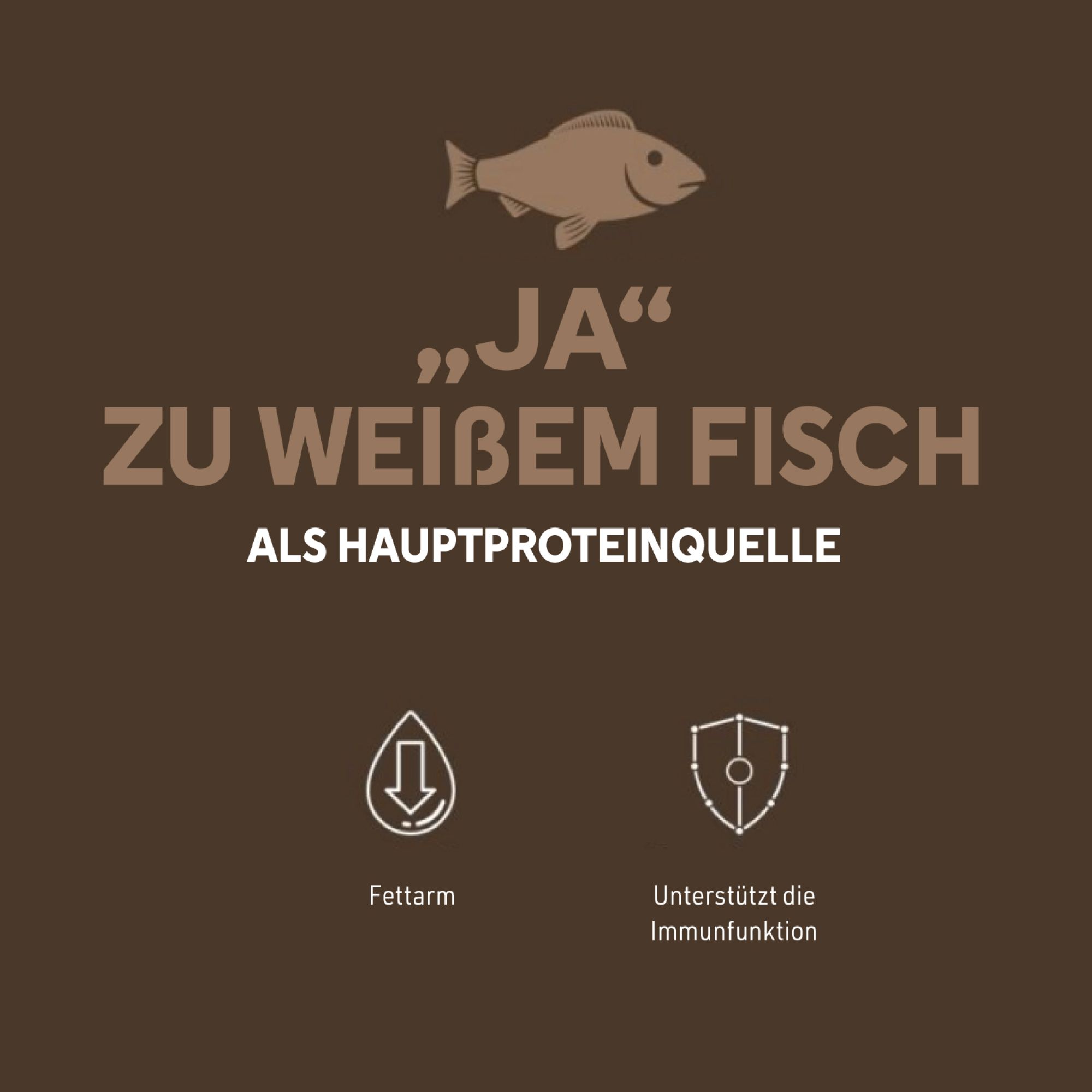 Brauner Hintergrund mit Text: Ja zu weißem Fisch als Hauptproteinquelle. Symbole: Fettarm, unterstützt die Immunfunktion.