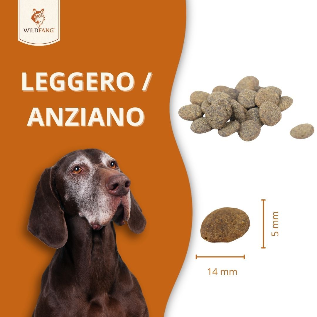 Trockenfutter-Kroketten neben einem Hund. Maße: 14 mm x 5 mm. Text: LEICHT / SENIOR. Marke: WILDFANG.