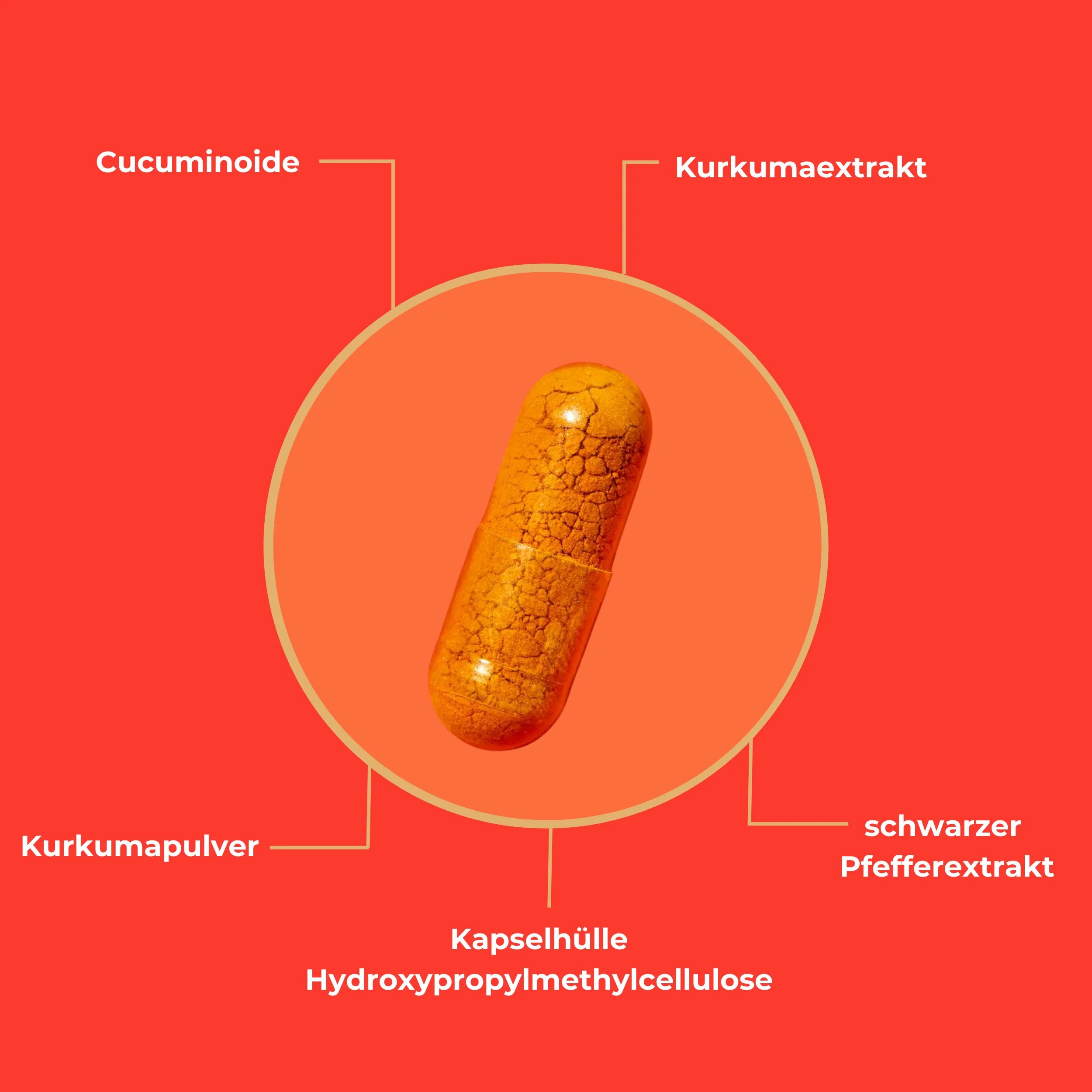 Nahaufnahme einer Viktilabs Coenzym Q10 Kapsel mit Erklärungen zu Inhaltsstoffen.