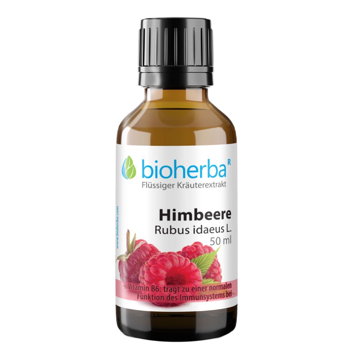 Braune Glasflasche mit schwarzem Schraubverschluss. Etikett mit Himbeere Rubus idaeus L. Extrakt. 50 ml.