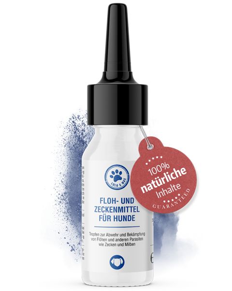 Tropfenflasche für Hunde. Weißes Fläschchen mit schwarzem Verschluss und rotem Anhänger. Aufschrift: Floh- und Zeckenmittel für Hunde.