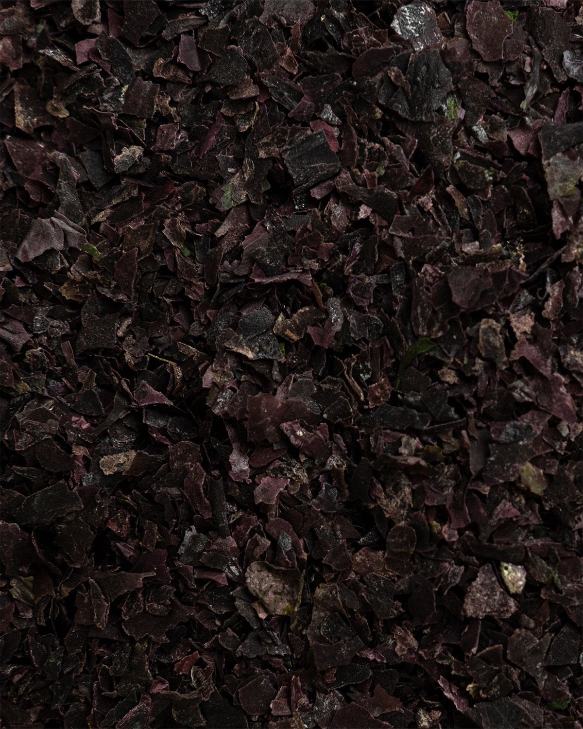 Makroaufnahme von Bio Dulse Flocken. Dunkle, getrocknete Meeresalgenflocken mit sichtbaren Texturen.