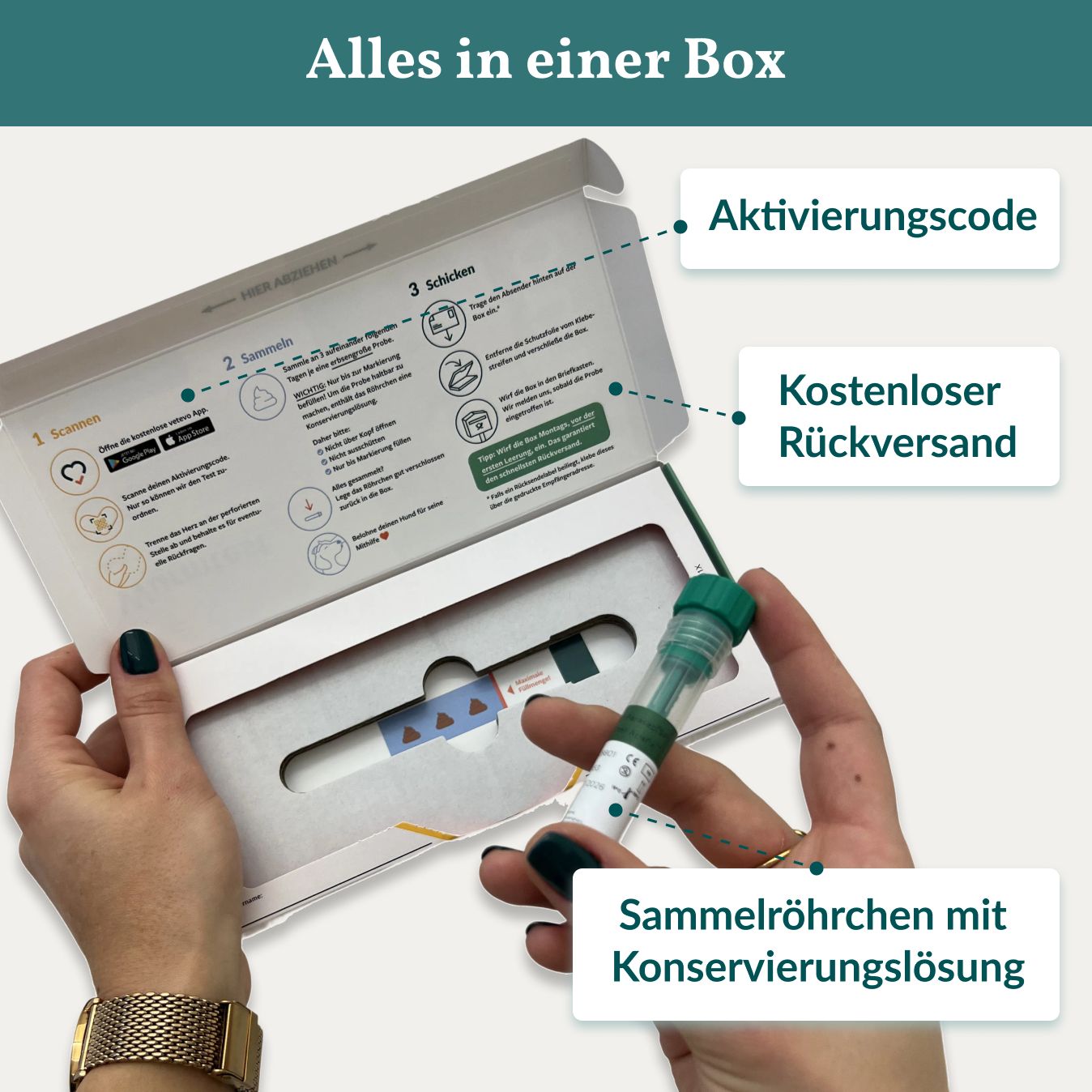 Box mit Testmaterial. Aktivierungscode, Sammelröhrchen, Rückversand.