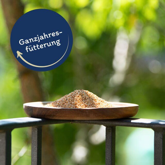 Hirse auf Holzschale. Text: Ganzjahresfütterung.