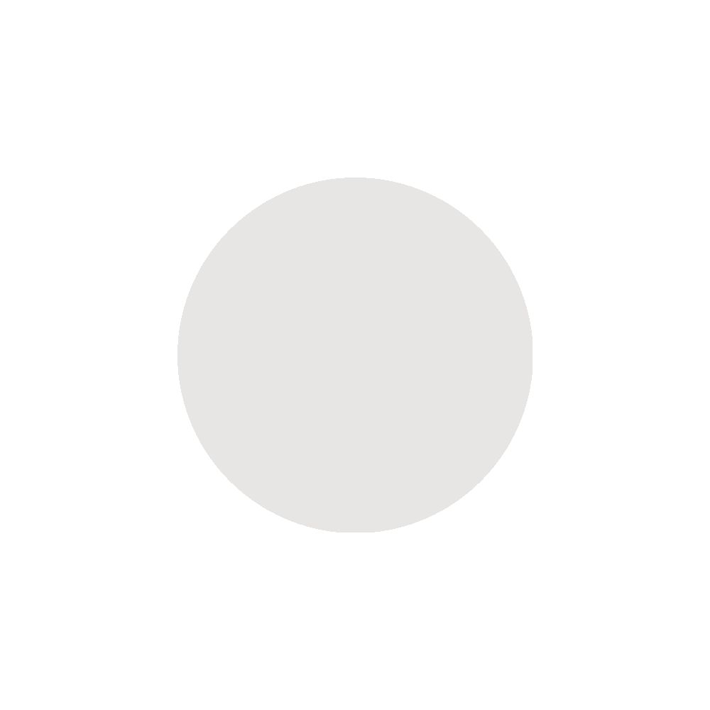 Kreisförmige, helle Fläche auf weißem Hintergrund. Keine weiteren Details erkennbar.