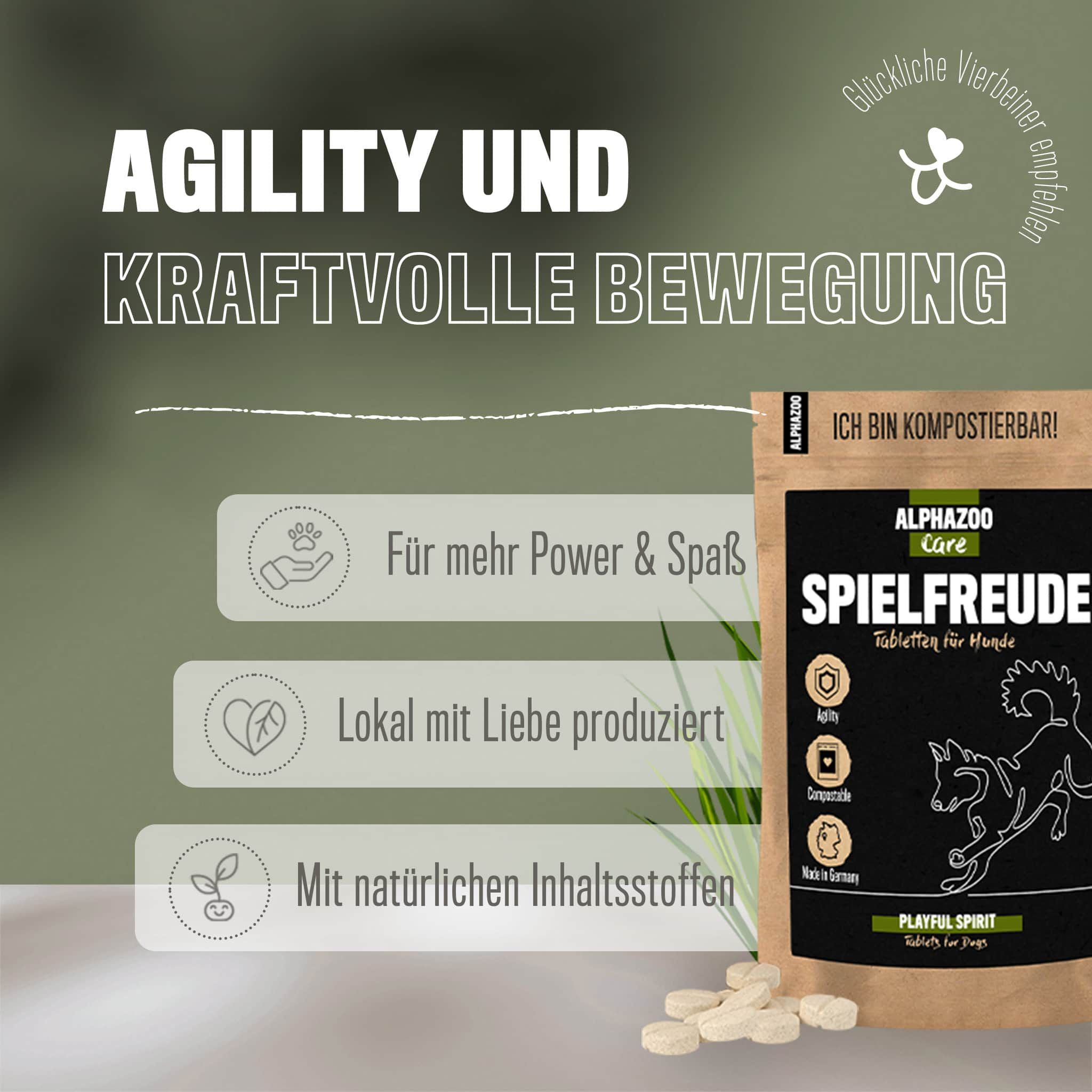 Alphazoo Spielfreude Tabletten für Hunde I Gelenktabletten mit Grünlippmuschel 75 g