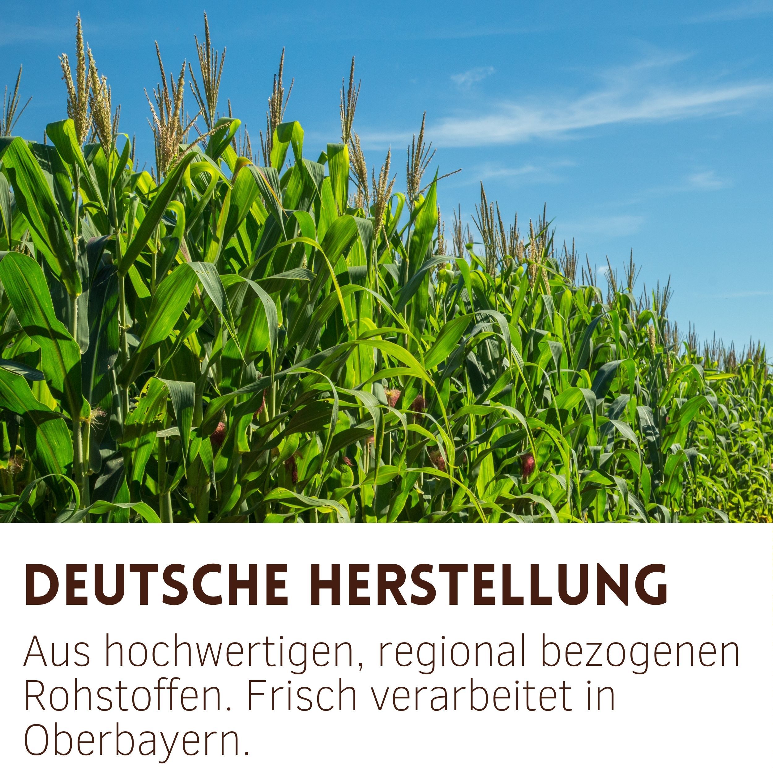 Maisfeld unter blauem Himmel. Text: Deutsche Herstellung. Aus hochwertigen, regional bezogenen Rohstoffen. Frisch verarbeitet in Oberbayern.