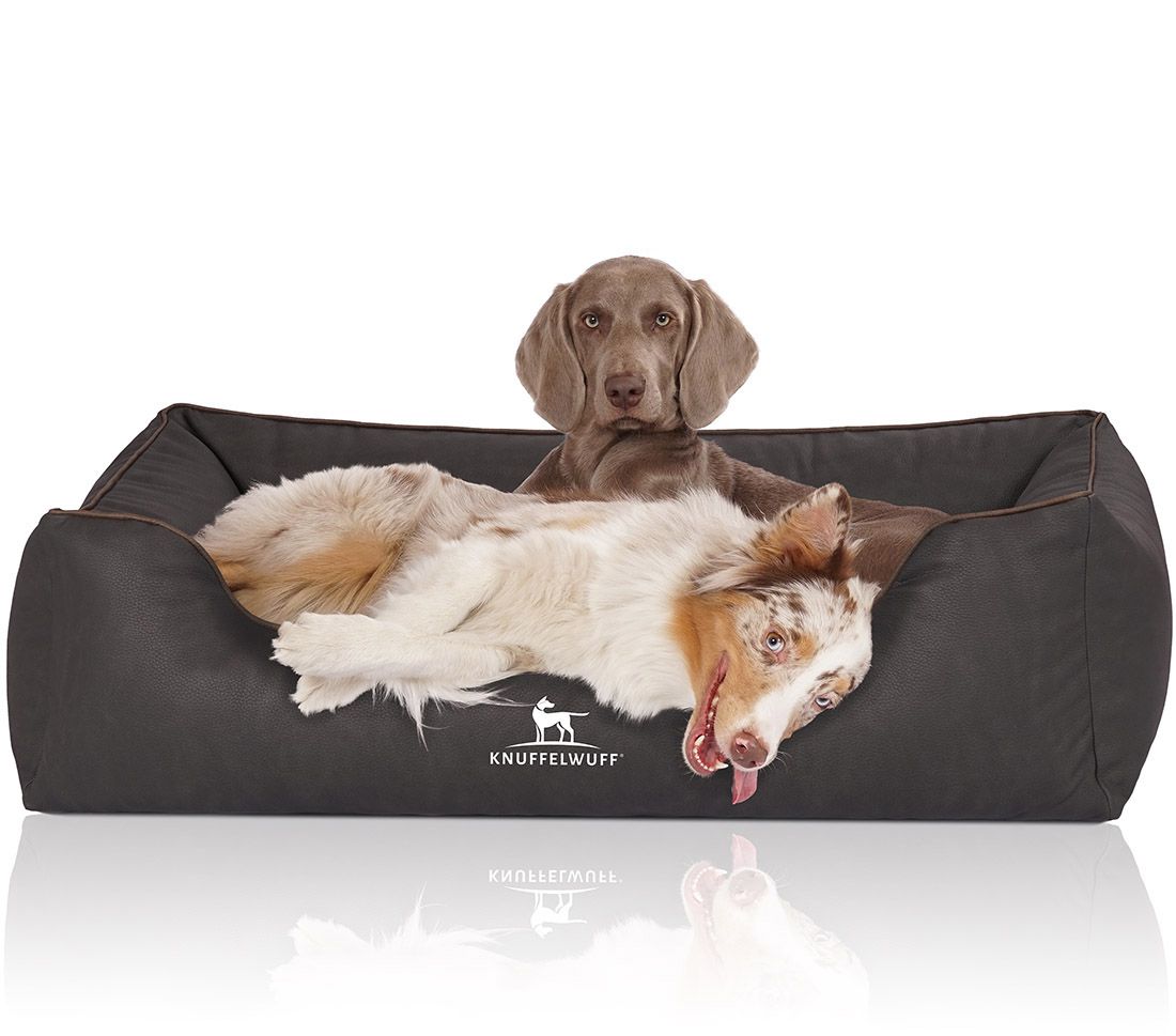 Hundebett mit zwei Hunden. Ein Hund liegt, einer sitzt. Logo: Knuffelwuff. Anthrazitfarbenes Bett mit brauner Kante. Weißer Hintergrund.