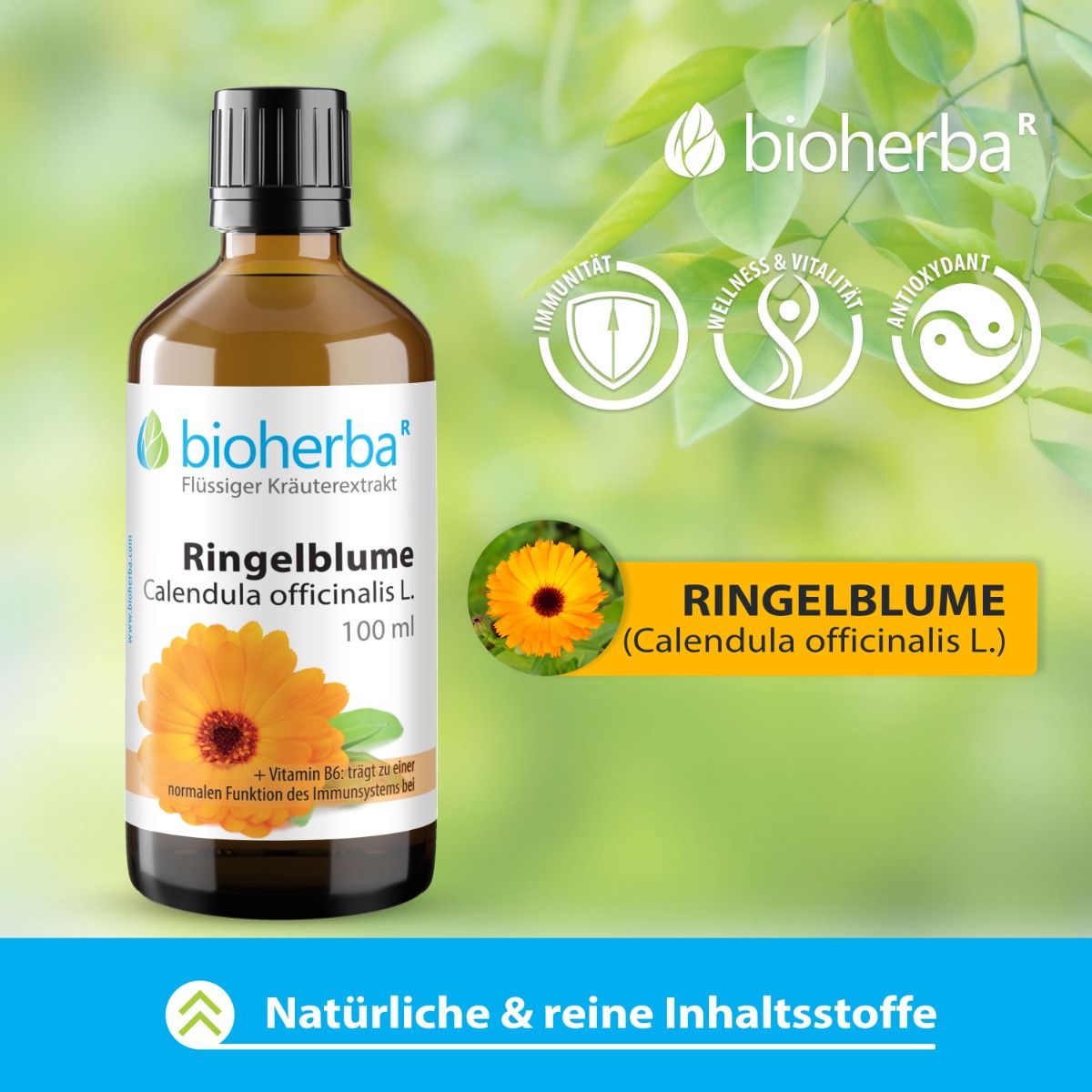 Braune Glasflasche mit schwarzem Deckel. Etikett mit Ringelblume und Text. Logos für Immunität, Wellness & Vitalität, Antioxidantien.
