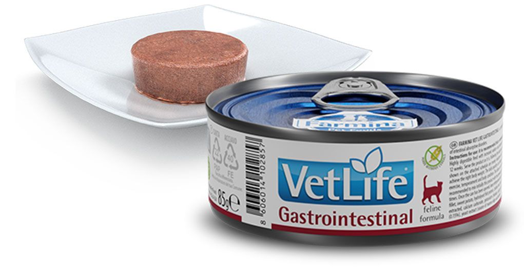 Katzenfutterdose "Vet Life Gastrointestinal" neben einem Teller mit Futter. Dose mit blauem Deckel, silbernem Rand und Zuglasche.