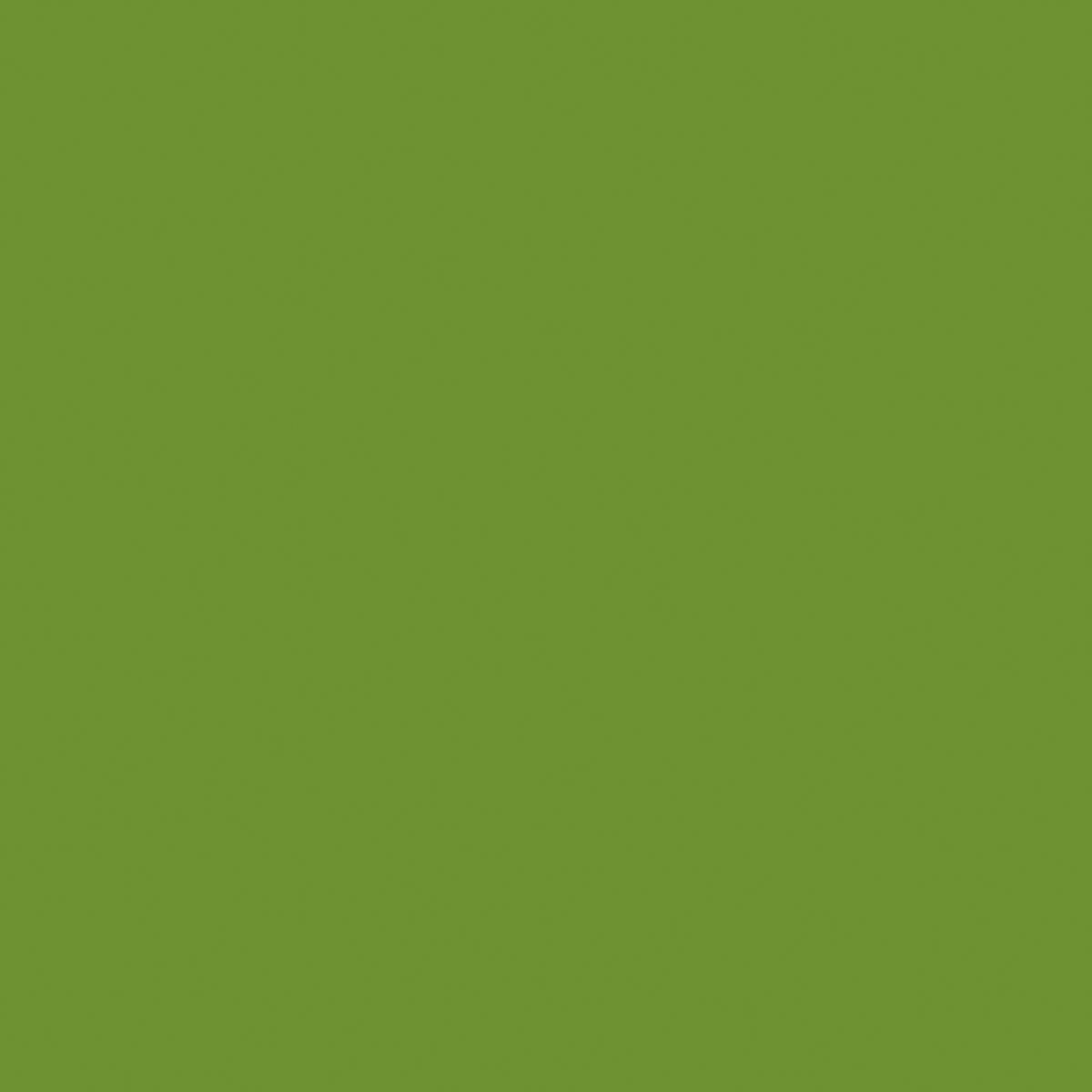 Bio-Dunisoft-Servietten 20 x leaf green 16 St Tücher