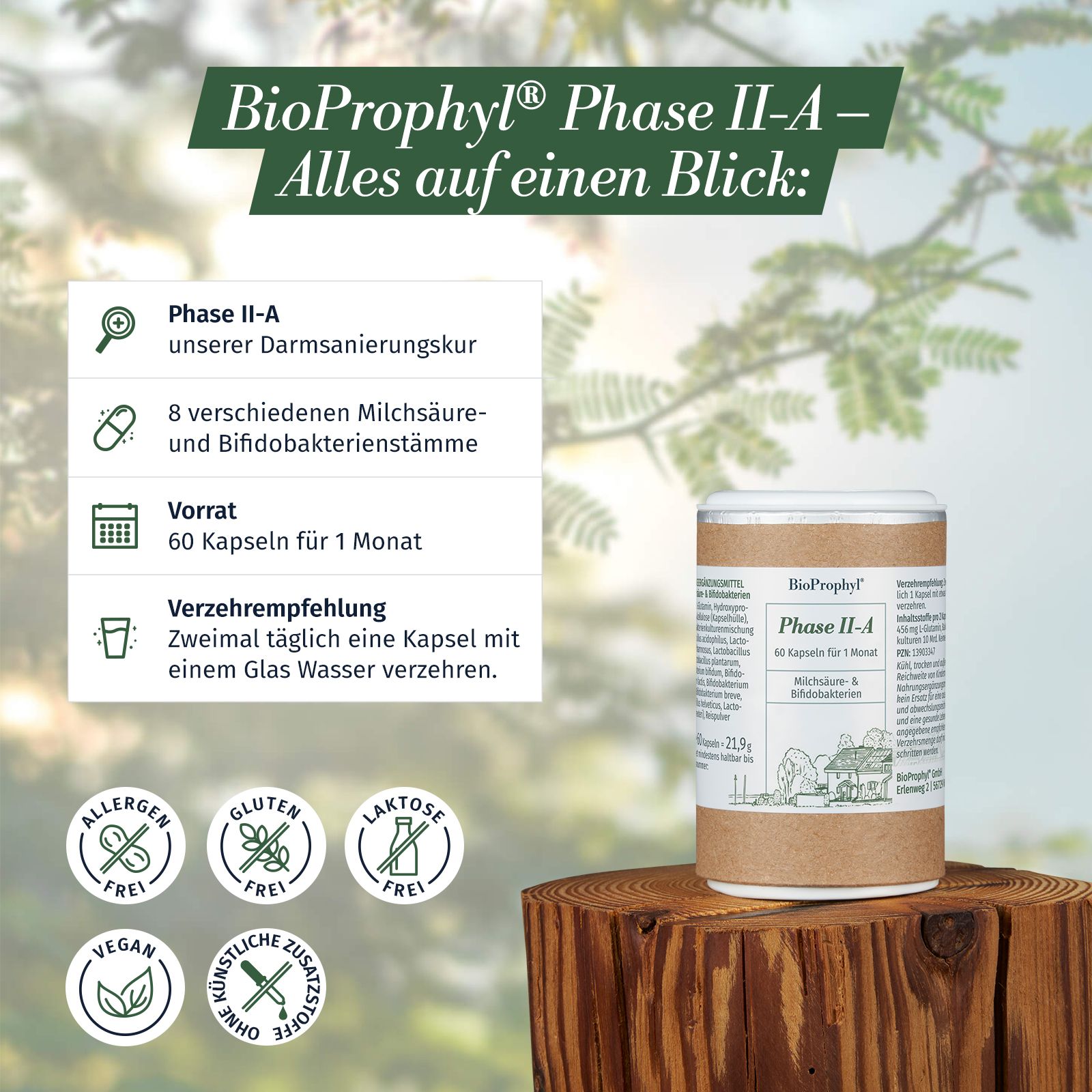 BioProphyl Darmsanierung