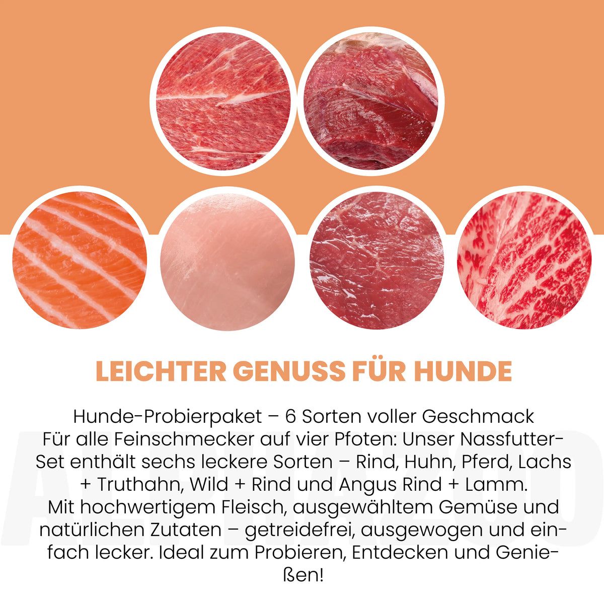 alphazoo Probierschmaus für Hunde – Nassfutter Probierpaket