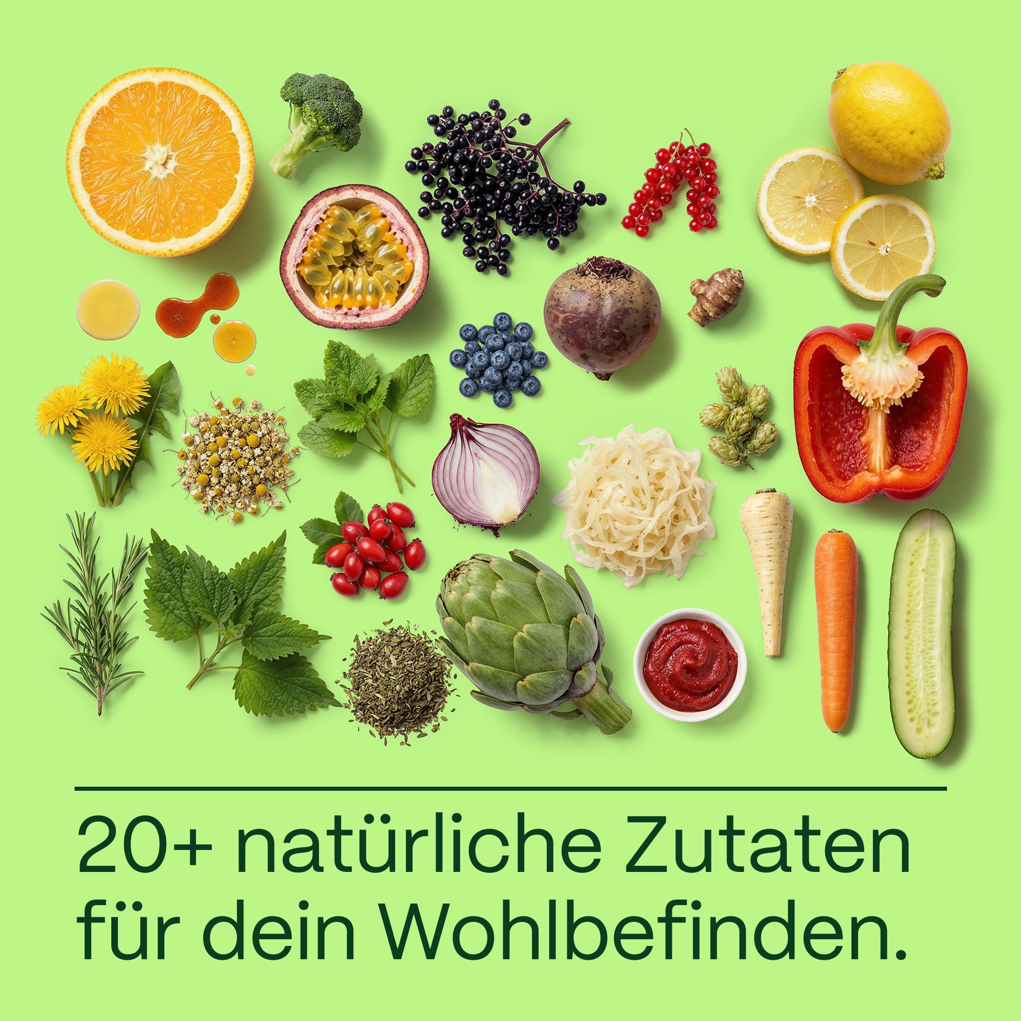 GreatVita Mikronährstoffkonzentrat