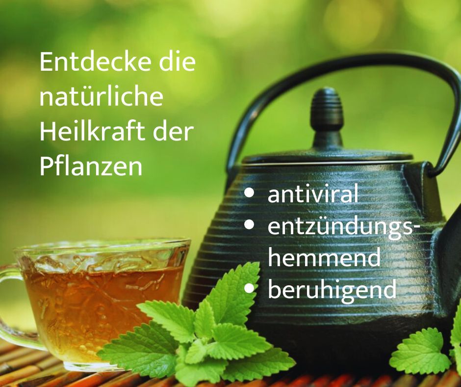 Hashimoto Harmony Bio Schilddrüsentee "Dein Schutzschild" lose