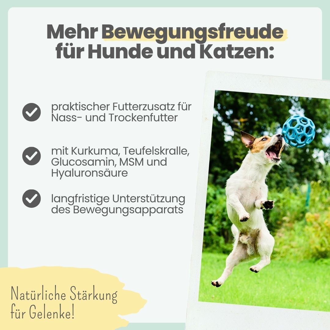 Hund springt mit Ball, Text über Gelenkunterstützung und Inhaltsstoffe.