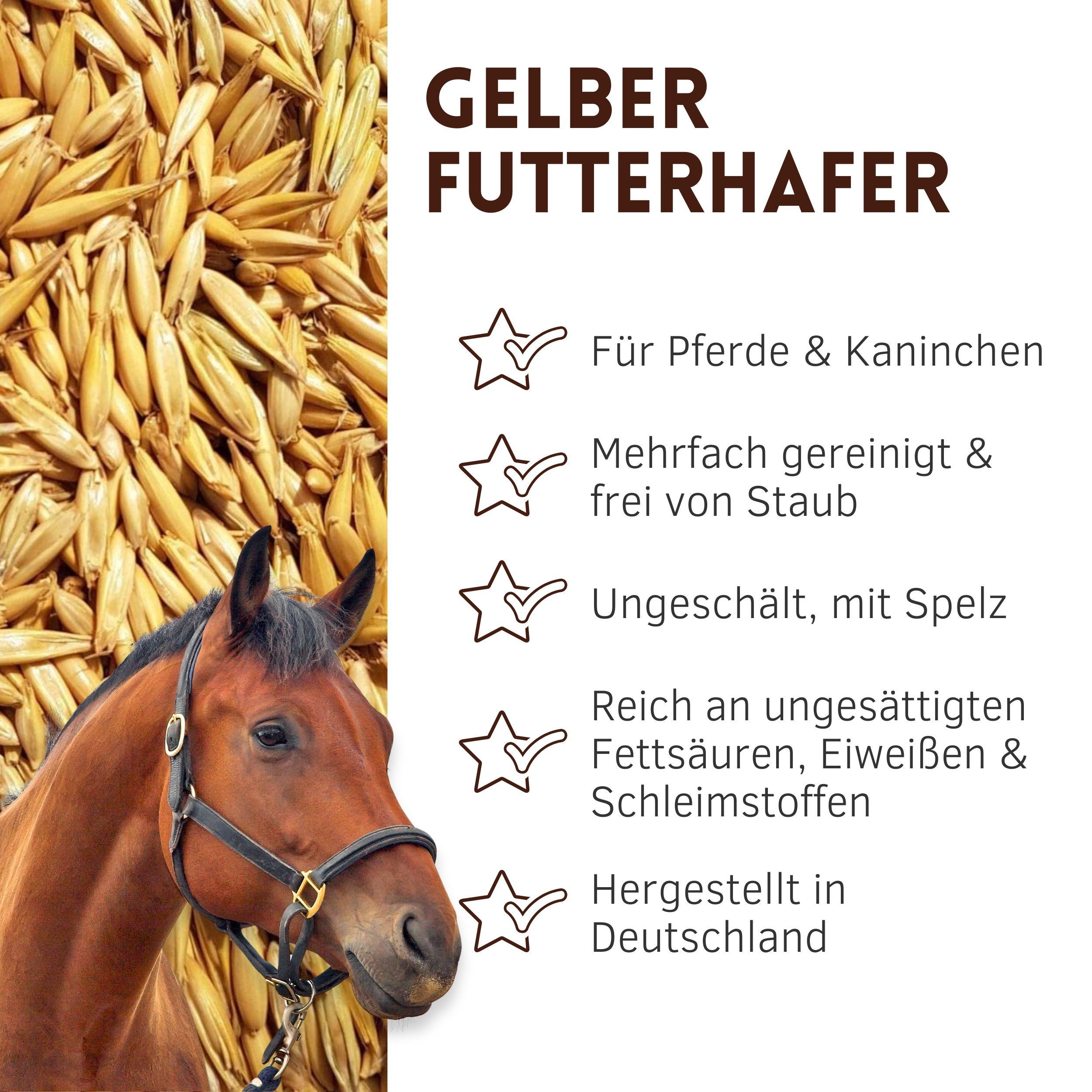 Nahaufnahme von gelbem Futterhafer. Text: Gelber Futterhafer. Für Pferde & Kaninchen. Mehrfach gereinigt & frei von Staub.