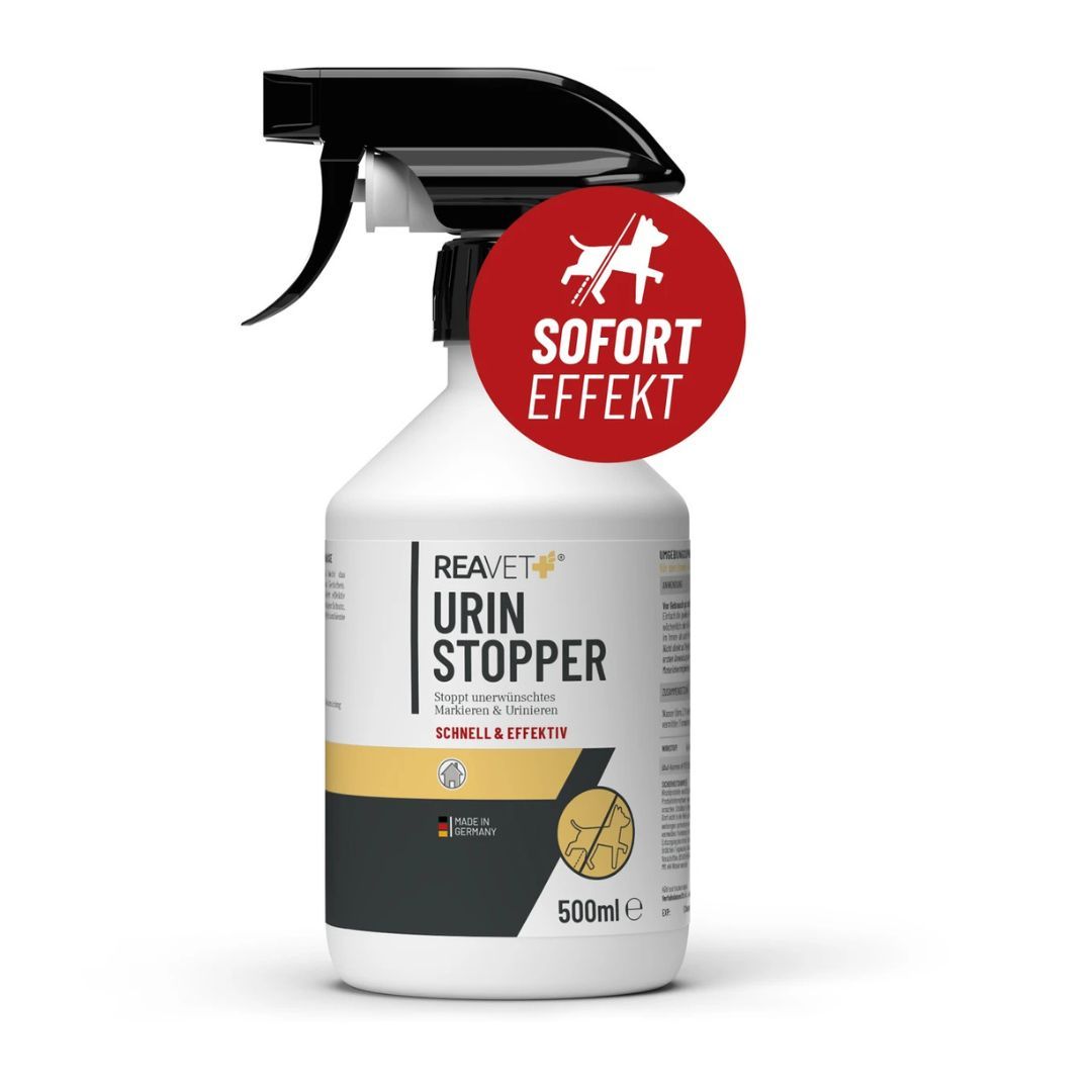 Weiße Sprühflasche mit schwarzem Sprühkopf. Aufschrift: Urin Stopper, ReaVET. Roter Aufkleber: Sofort Effekt. 500ml.