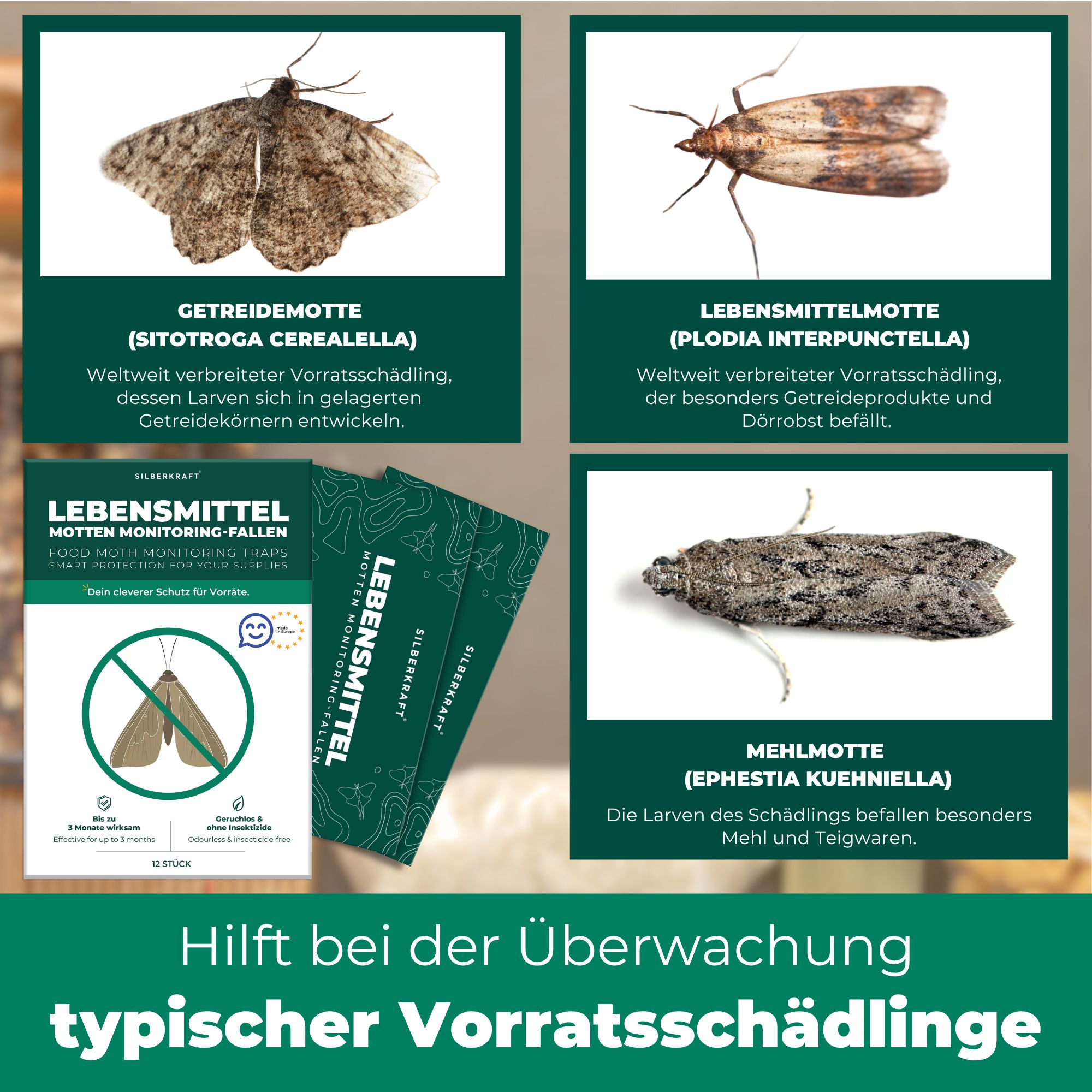 Produktabbildung mit Mottenarten und Produktverpackung. Text: Hilft bei der Überwachung typischer Vorratsschädlinge.