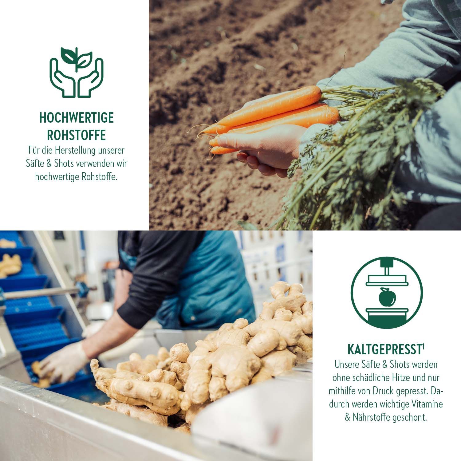 Collage zeigt Rohstoffe wie Karotten und Ingwer. Personen verarbeiten die Zutaten. Logos und Text beschreiben Kaltpressung.