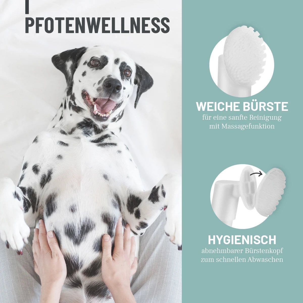 Dalmatiner liegt auf dem Rücken. REAVET Pfotenreiniger mit Bürstenaufsatz. Text: Weiche Bürste, hygienisch.