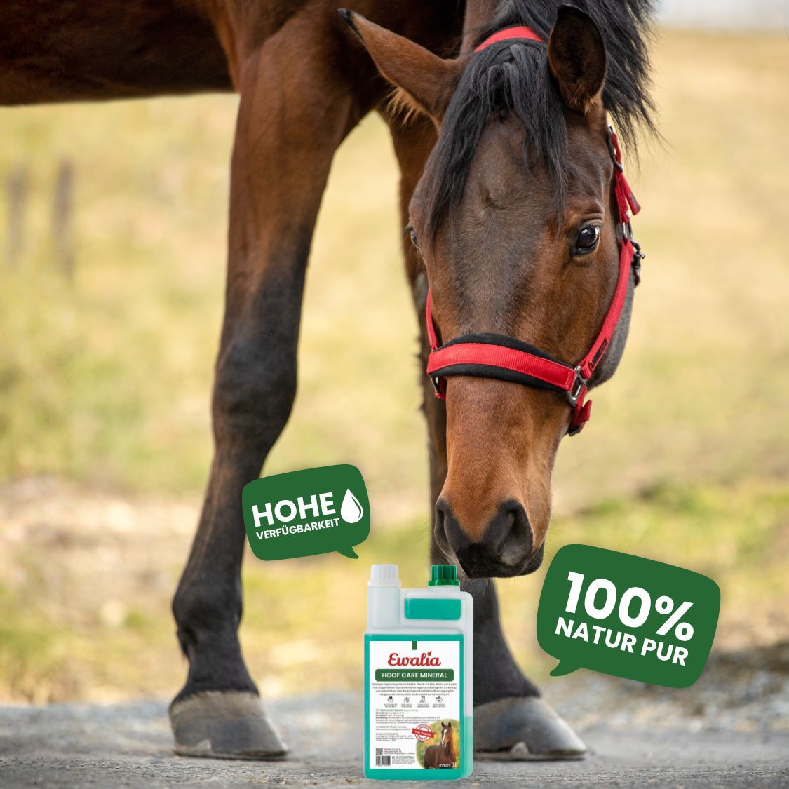 EWALIA Hoof Care Mineral