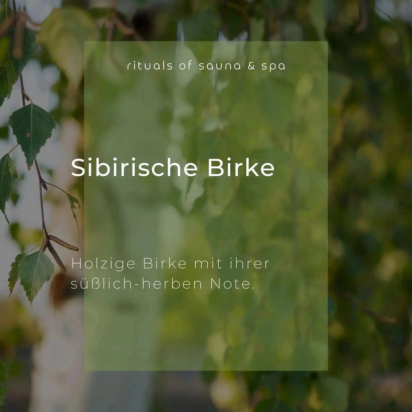 Schild mit Text: Sibirische Birke. Holzige Birke mit ihrer süßlich-herben Note.