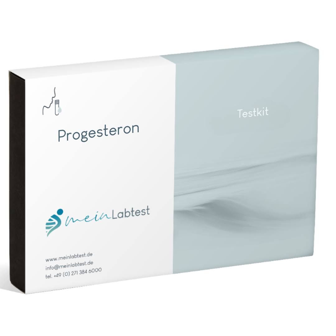 Testkit-Verpackung mit der Aufschrift "Progesteron" und Logo. Zweiteilige Box, weiß und hellblau. Enthält Kontaktinformationen.