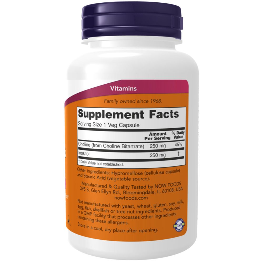 Rückseite der Flasche. Text: Supplement Facts. Inhaltsstoffe: Choline, Inositol. Hersteller: NOW FOODS. Orangefarbener Hintergrund.