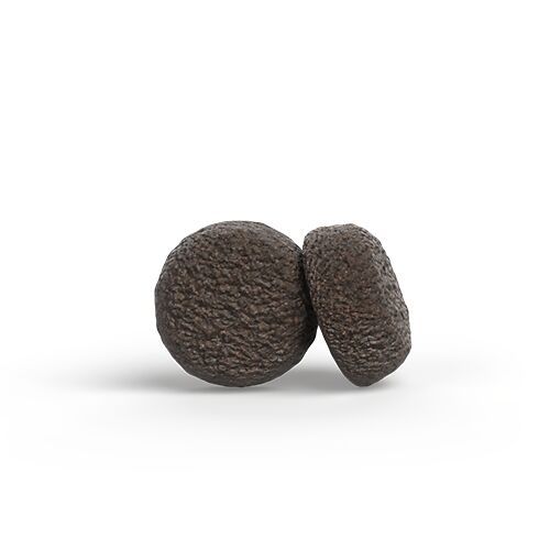 Zwei runde, braune Hundefutterstücke, leicht erhaben, auf weißem Hintergrund.