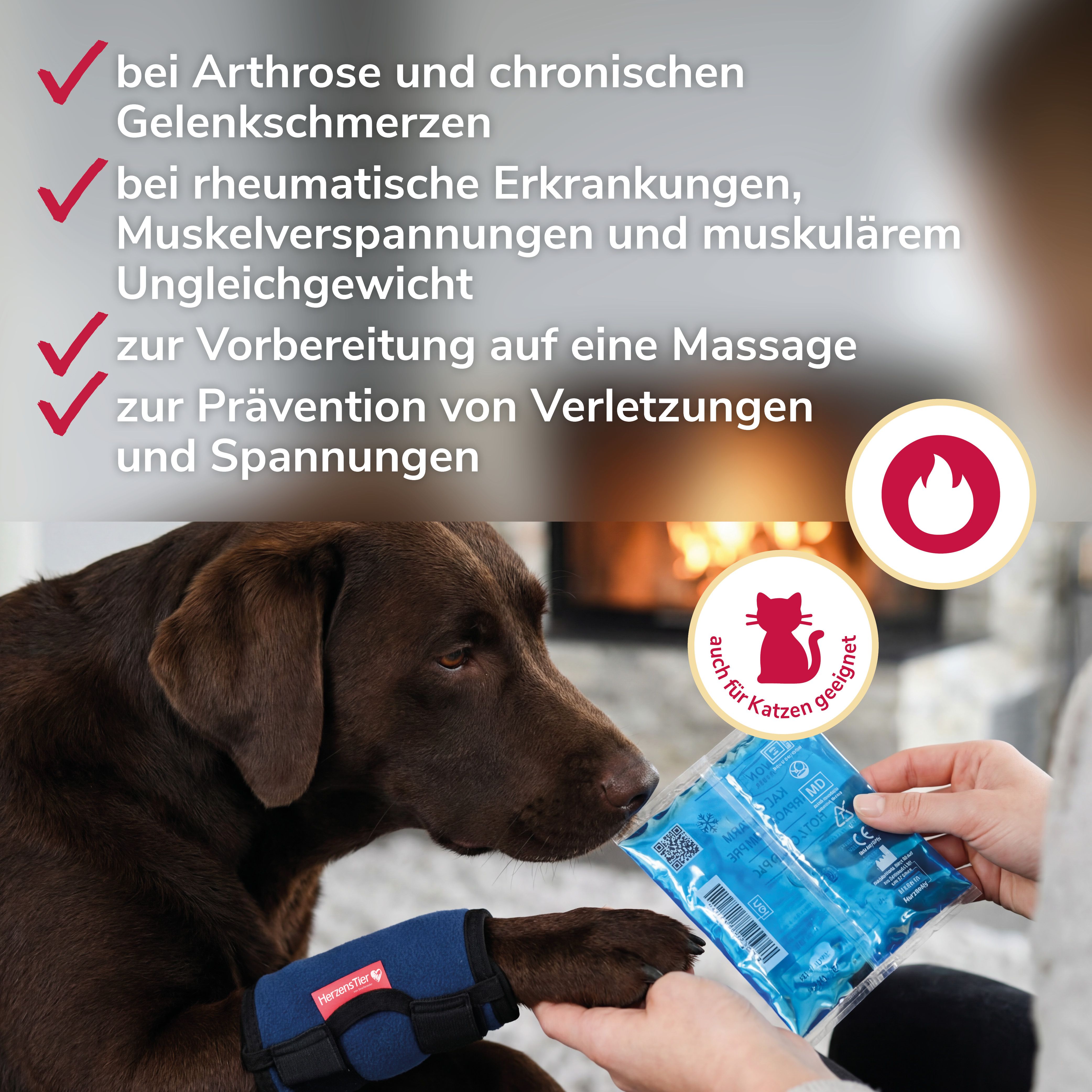 Hund mit blauer Bandage, Person hält Kühlpack. Geeignet für Katzen und Hunde.