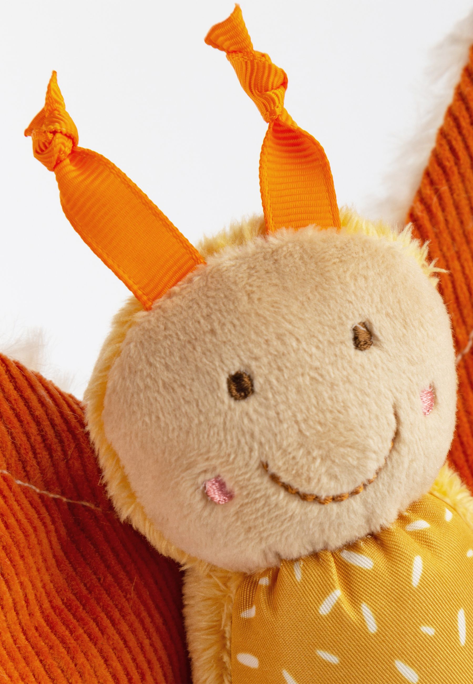 Nahaufnahme des Gesichts eines Schmetterlings. Gelbes Gesicht, orangefarbene Fühler. Rosa Wangen.
