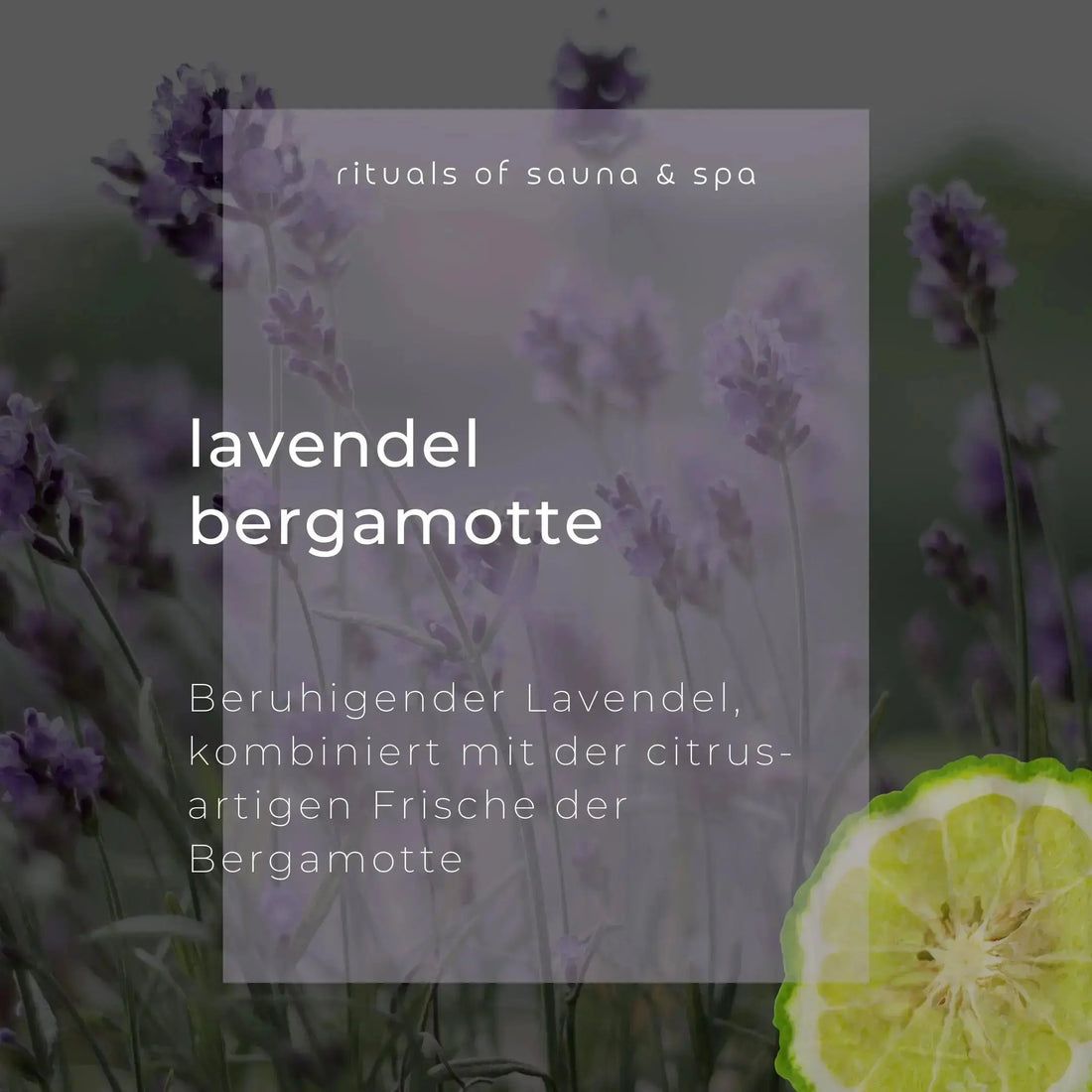 Lavendel-Bergamotte-Werbung. Text auf transparentem Hintergrund mit Lavendelblüten und Bergamotte. "Rituals of sauna & spa".