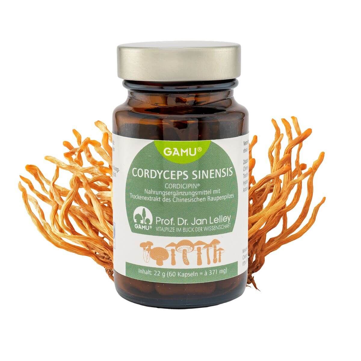 Gamu, Cordyceps sinensis Extrakt / Chinesischer Raupenpilz 60 St Kapseln