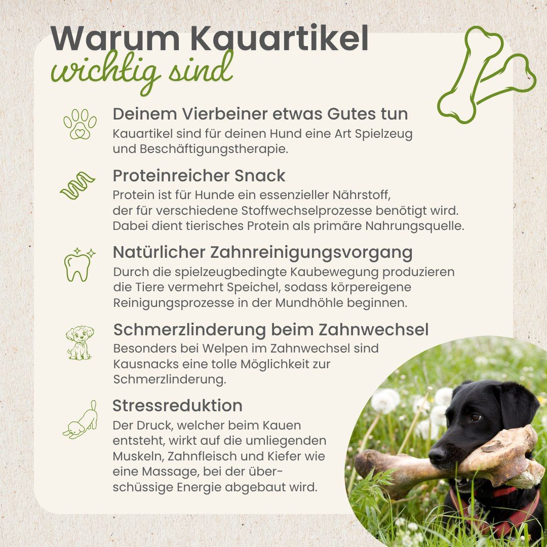 Fünf getrocknete, ringförmige Hundekauartikel auf weißem Hintergrund.