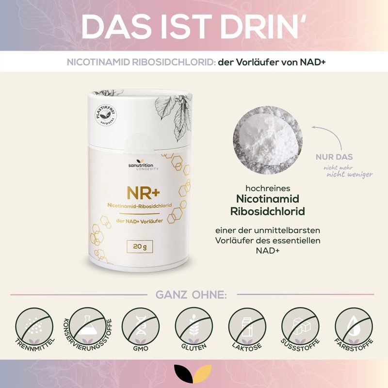 Produkt mit Dose "Sanutrition NR+" und Pulver. Text: Nicotinamid Ribosidchlorid, der Vorläufer von NAD+, 20g. Ohne: Trennmittel, Konservierungsstoffe, etc.