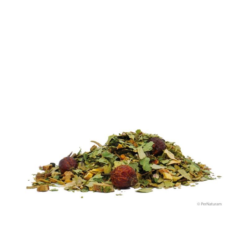 Haufen von getrockneten Kräutern und Beeren. Grüne Blätter, rote Beeren und braune Stücke. Auf weißem Hintergrund.