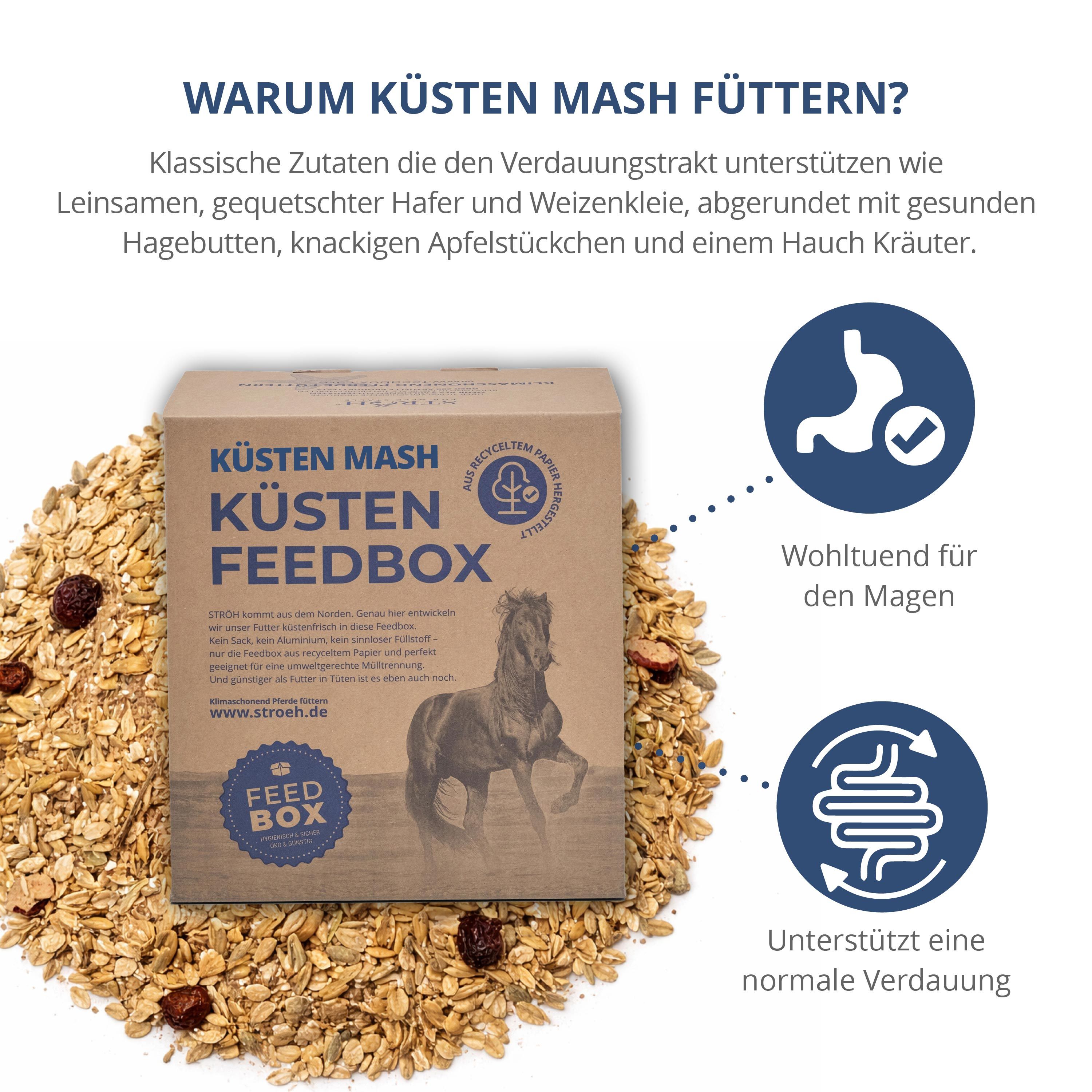 Karton "KÜSTEN MASH FEEDBOX" auf Getreidehaufen. Text: Warum Küsten Mash füttern? Logo: Pferd. Illustrationen: Magen, Darm.