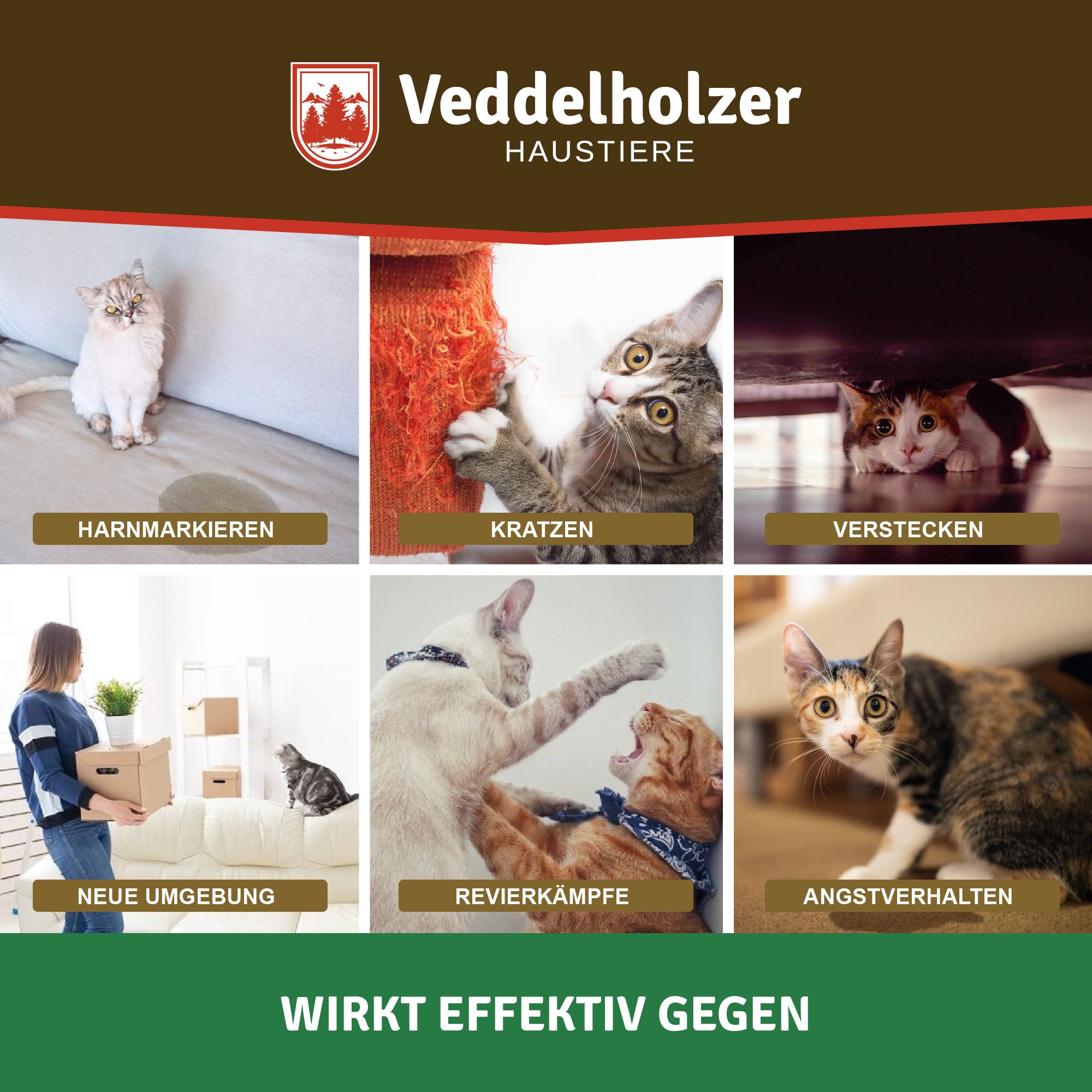 Drei Reihen mit Katzen in verschiedenen Situationen: Markieren, Kratzen, Verstecken, neue Umgebung, Revierkämpfe, Angstverhalten. Text: Wirkt effektiv gegen.